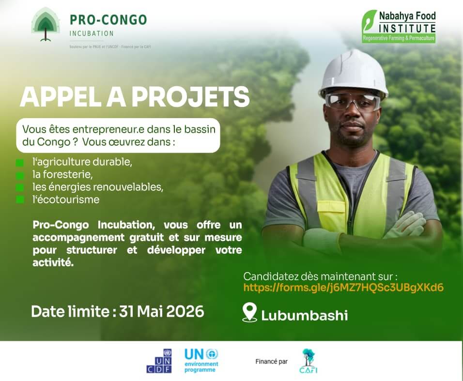 Design graphique
